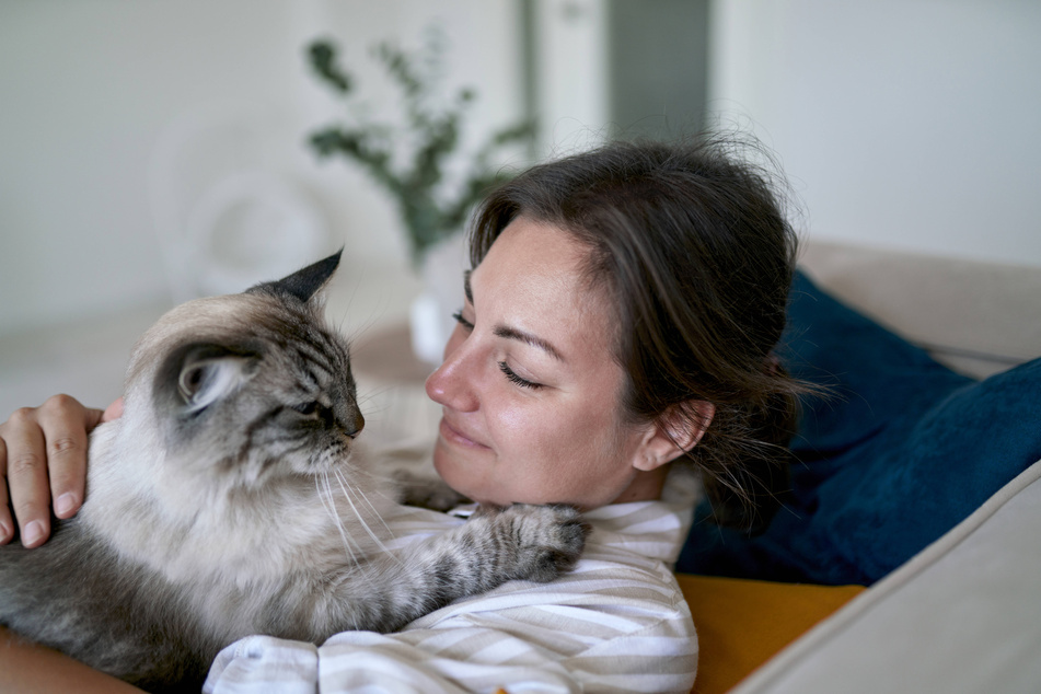 Your beloved kitty will show you that it's happy, you just need to know how to see it.