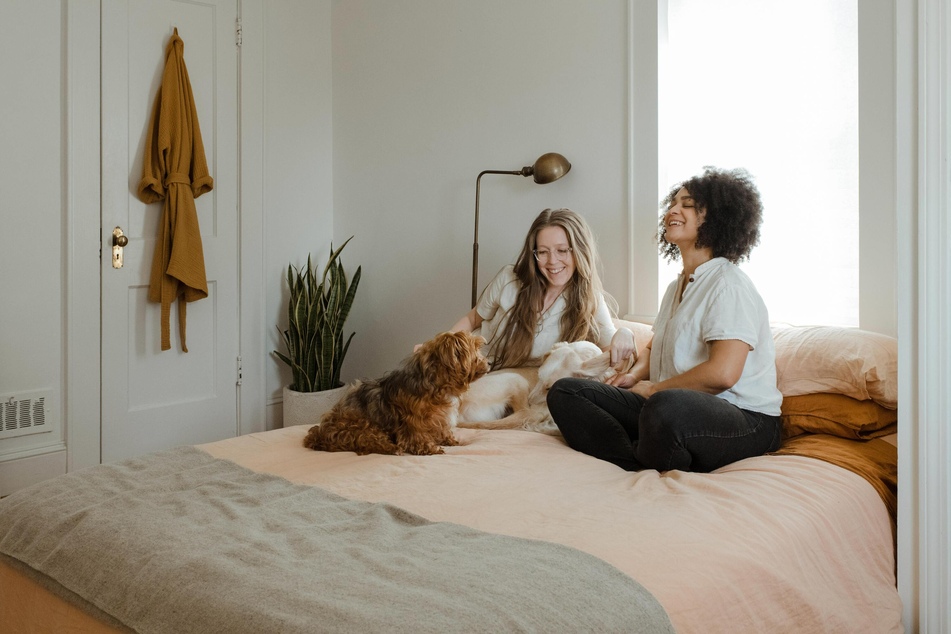 If you keep dogs in your home, you should think carefully beforehand about which areas are accessible to your four-legged friends.