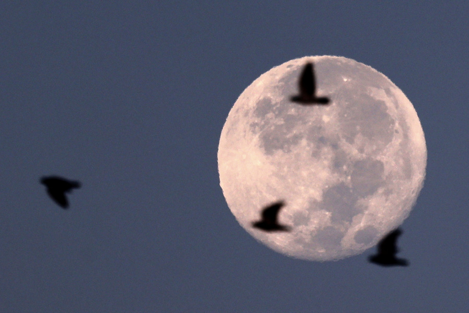 How to see the big blue supermoon on Wednesday night