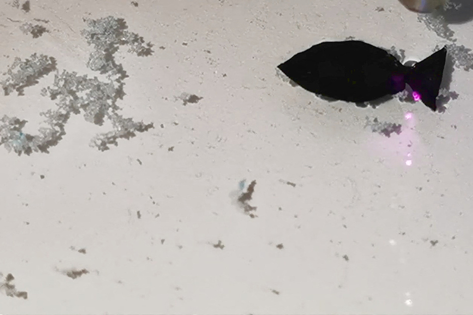 MIcroplastics have a new, adorable little nemesis