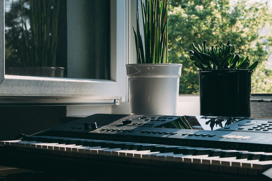 Myth confirmed? A new scientific study suggests that music really can help plants grow!