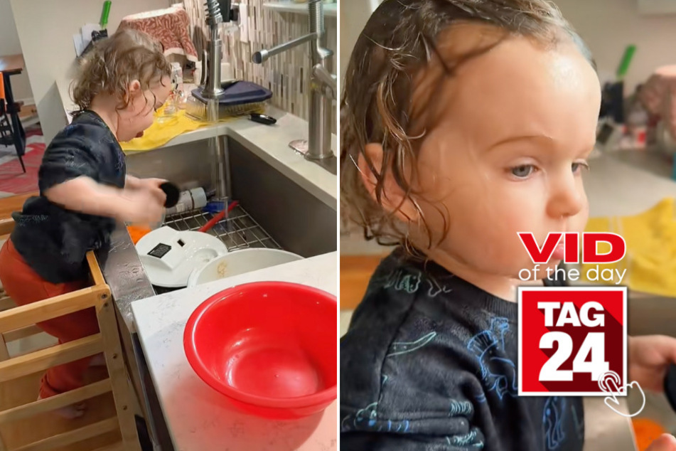 Viral Video of the Day for January 13, 2026: Toddler "helps" with dishes – then accidentally soaks himself