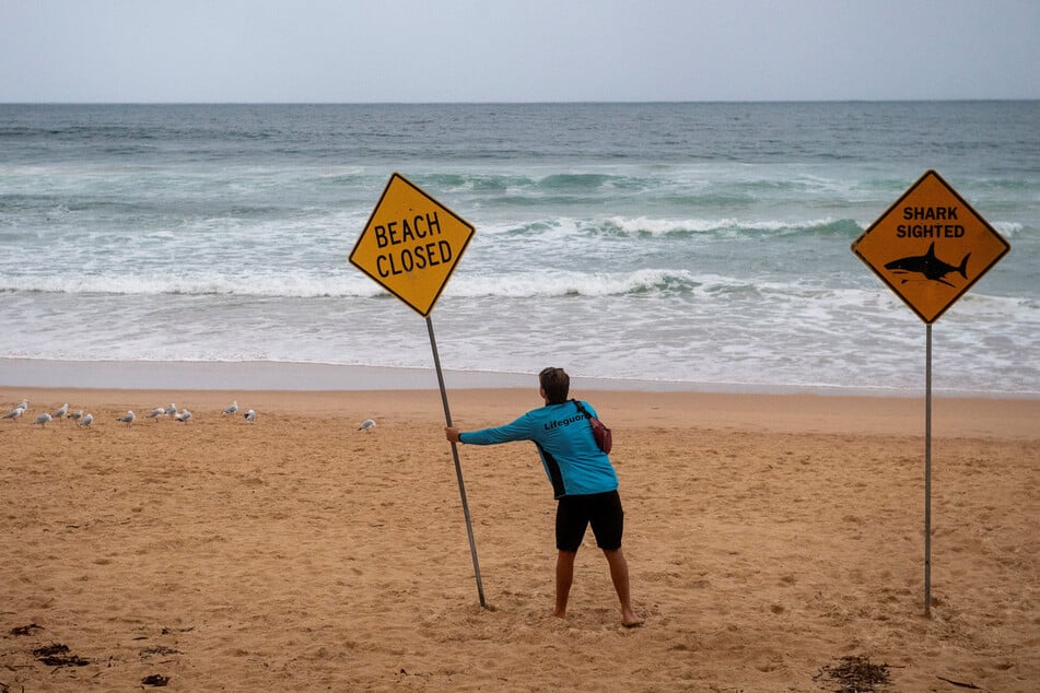 A surfer was attacked by a shark off a beach in Sydney on Monday – the third such incident in just two days.