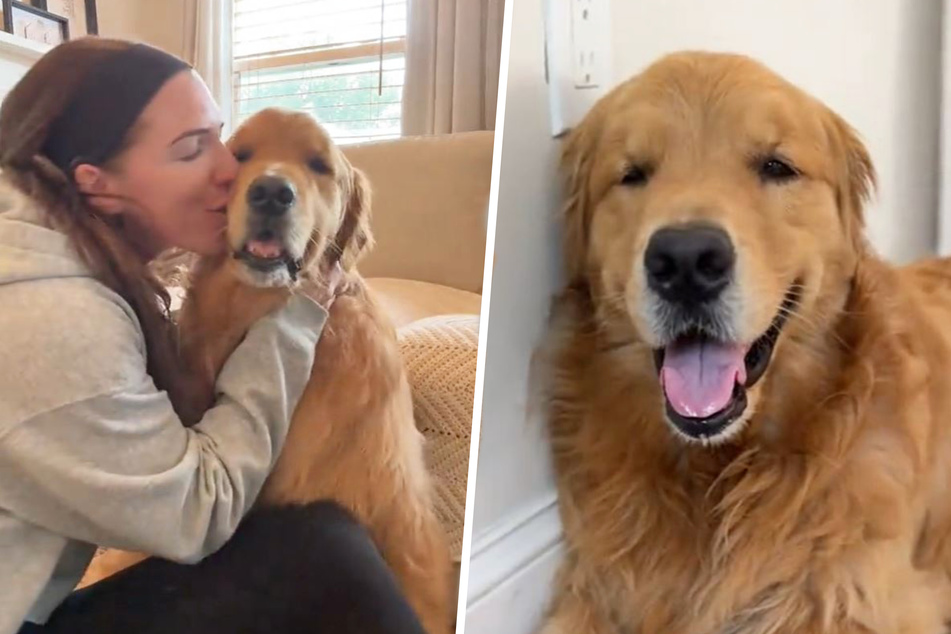 TikTokers are crying over this dog's reaction to being left behind on vacation!