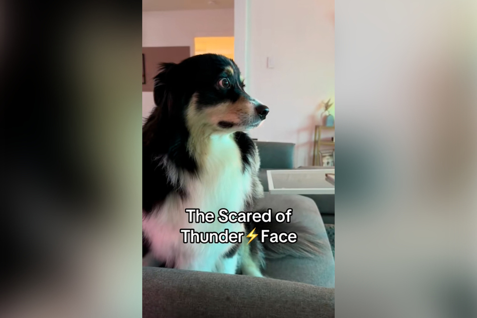 Penny's thunder face was the clear highlight for many users!