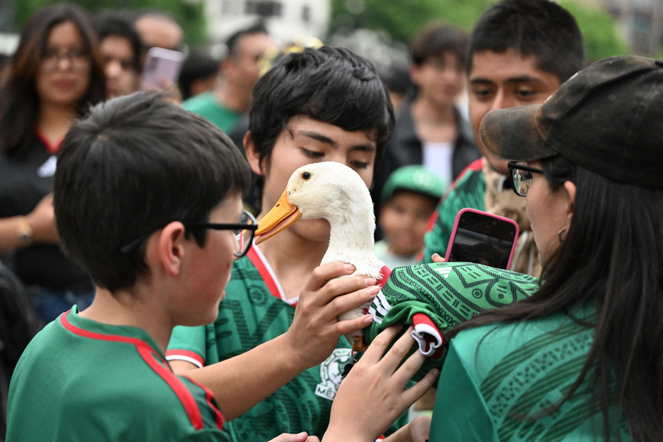 Merlin the duck achieves viral fame as Mexico's World Cup "ambassador"