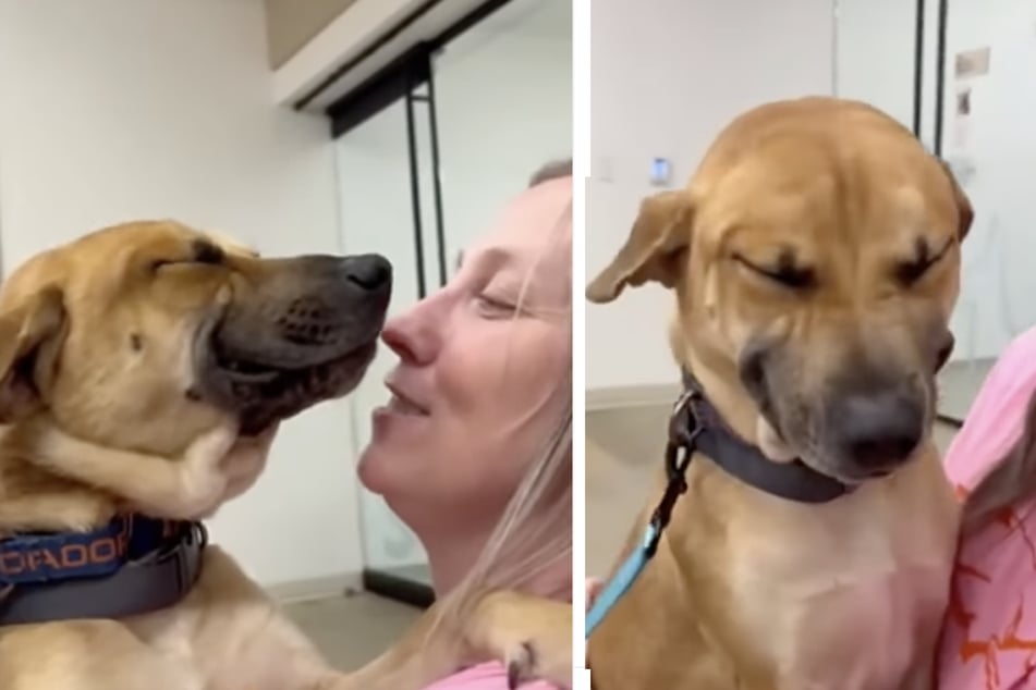 Eugene the dog smiled broadly when he realized that his former foster mother wanted to adopt him.
