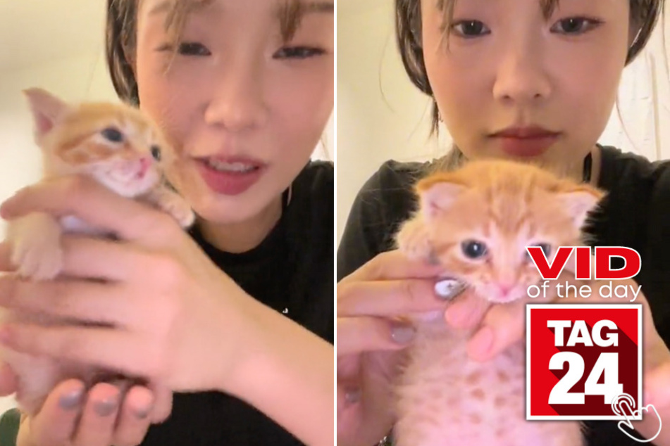 Today's Viral Video of the Day features a kitten who's belly is full of soup!