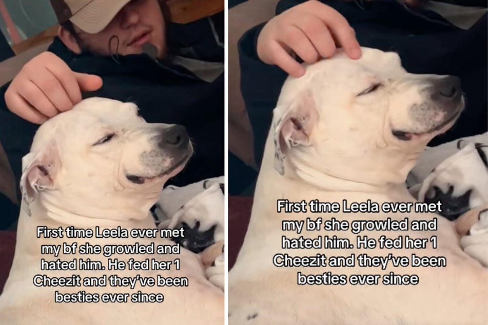 Soon enough, Leela became "besties" with her owner's boyfriend.