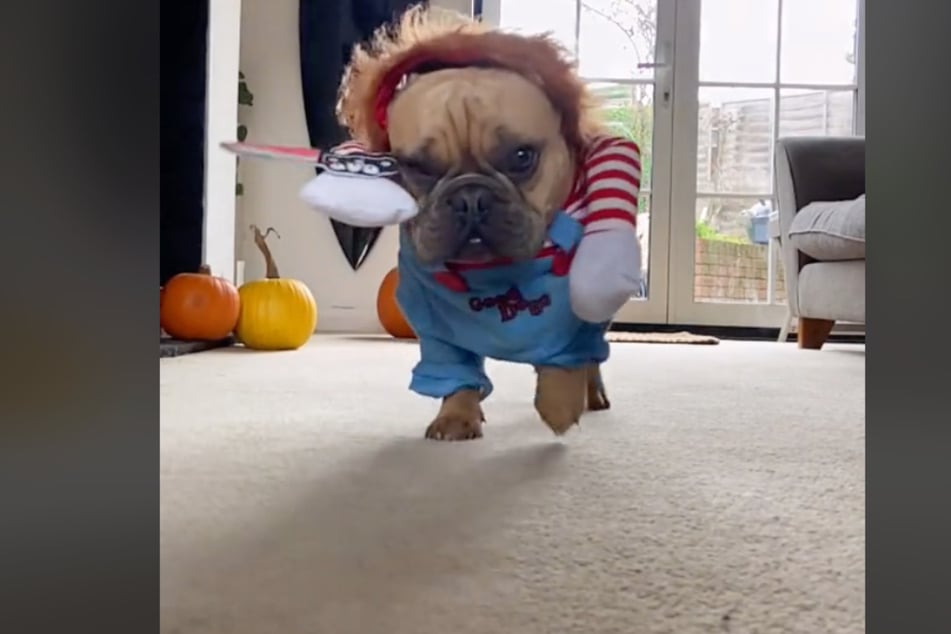 This Halloween costume was a real killer.