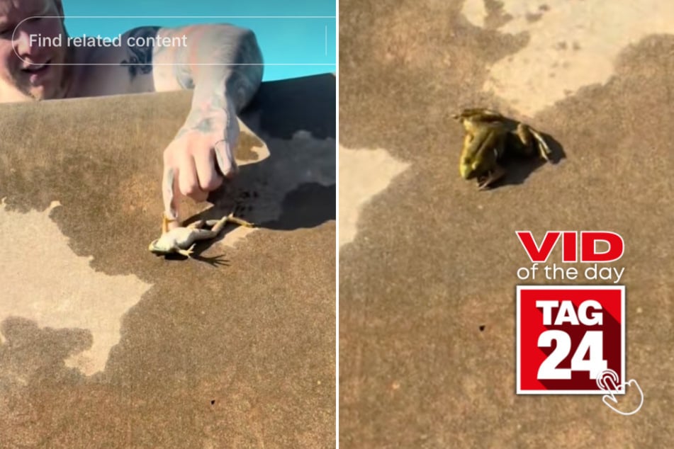 Viral Video of the Day for August 10, 2025: Man resurrects "dead" frog with CPR by the pool!