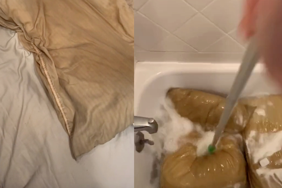 Pillow monsters: woman washes boyfriend's pillows for the first time in ten years