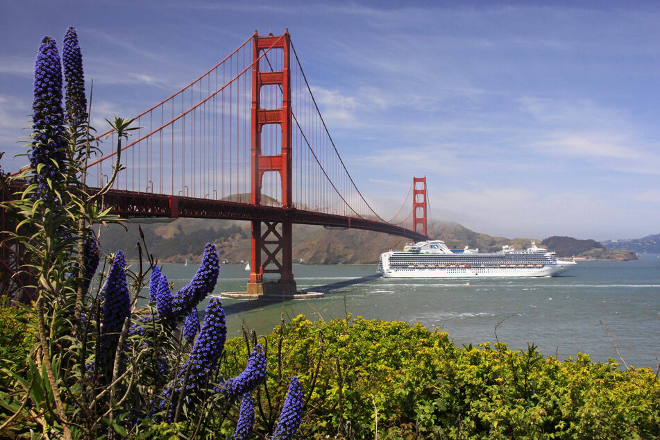 The tech billionaire's California dreams have been deemed "underhanded" by locals in the area.