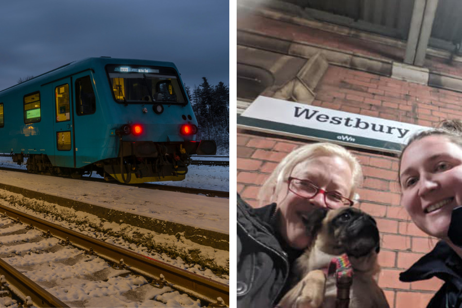Tiny dog flies solo and hops on a train trip of a lifetime