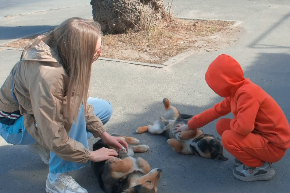 After the death of these pup's mom, it became clear that they needed help.