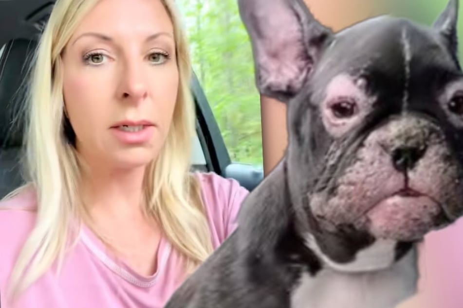 Puppy found on the side of the road by reluctant rescuer: "Why does this happen to me?!"