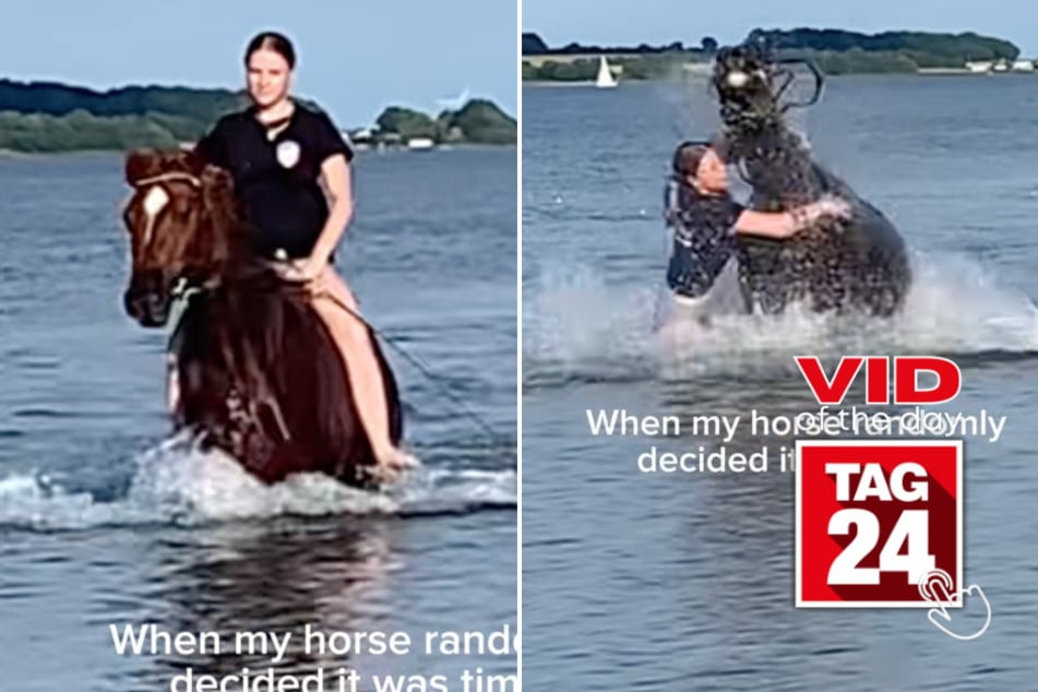 Viral Video of the Day for May 4, 2026: Woman gets trampled by her horse in the water!
