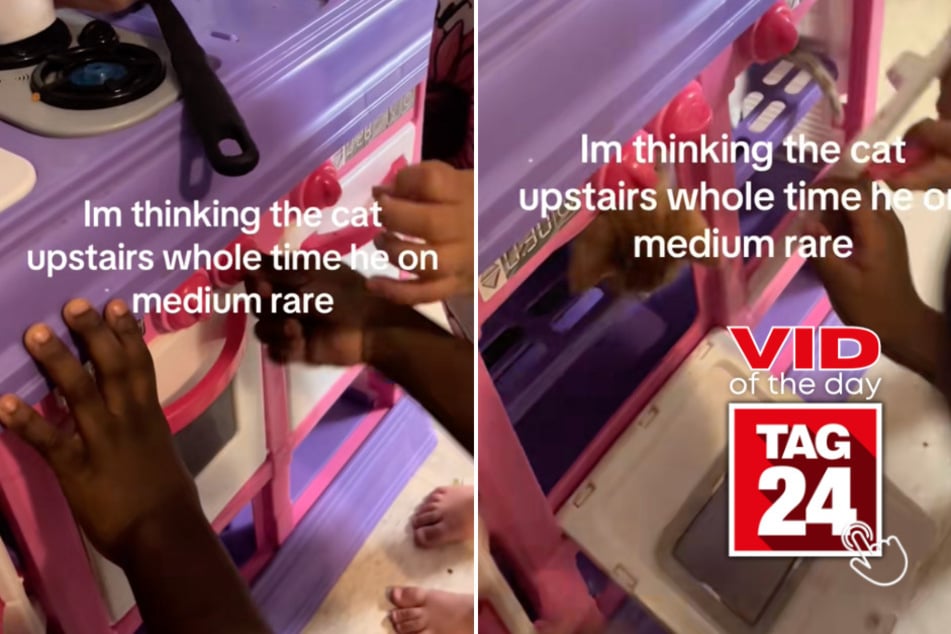 Viral Video of the Day for June 13, 2025: Kids play chef and mom finds family cat in unusual place!