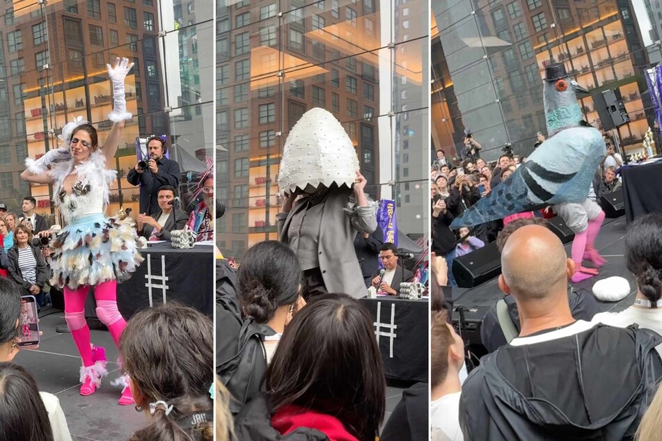 Pigeon Fest 2025: New Yorkers flock to absurd pigeon pageant with important ecological message