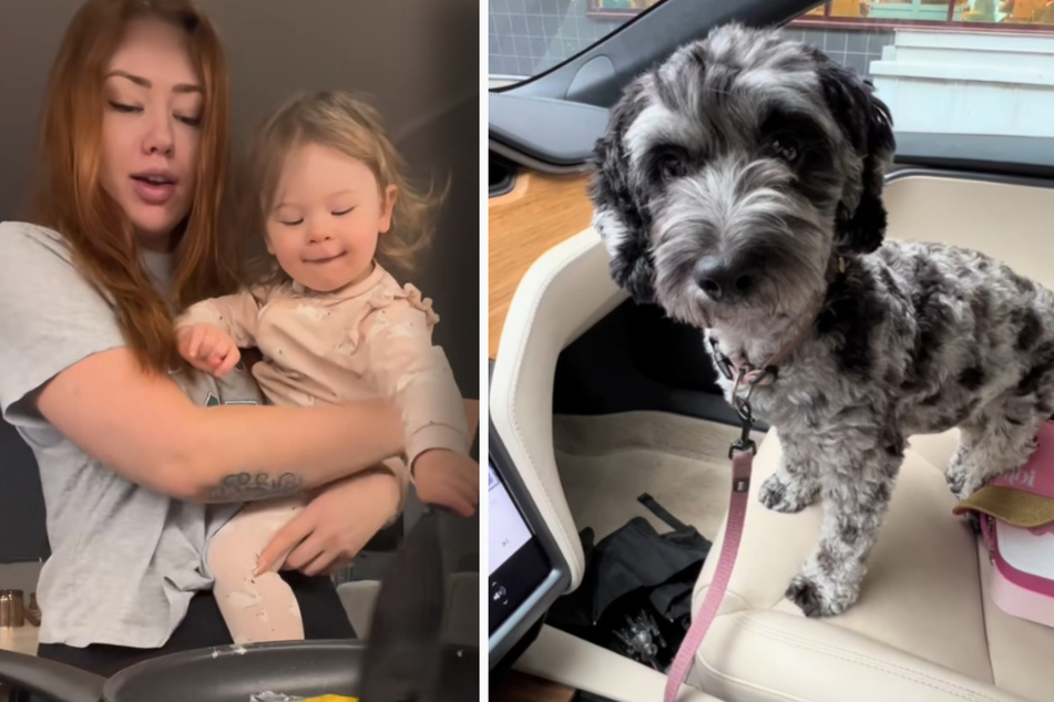Woman and her dog go viral with adorable simultaneous pregnancies