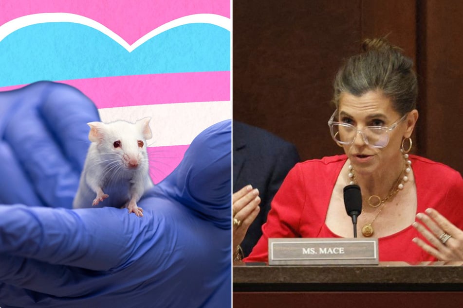 Nancy Mace faces mockery for fighting to stop "radical transgender experiments" on mice