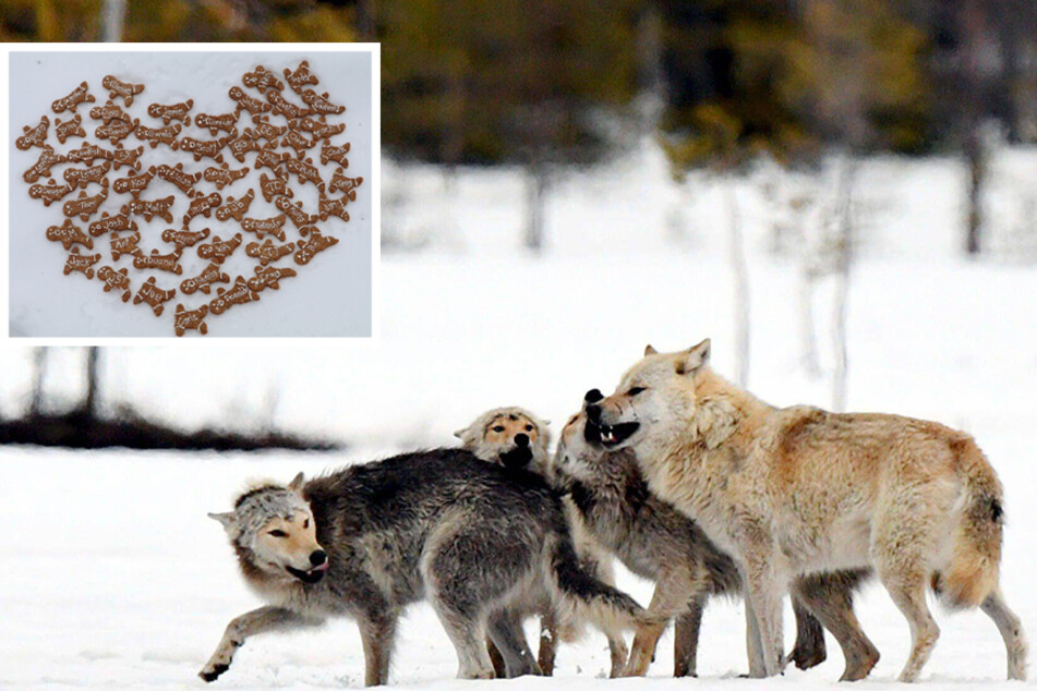 Feed your ex to the wolves for Valentine's Day!