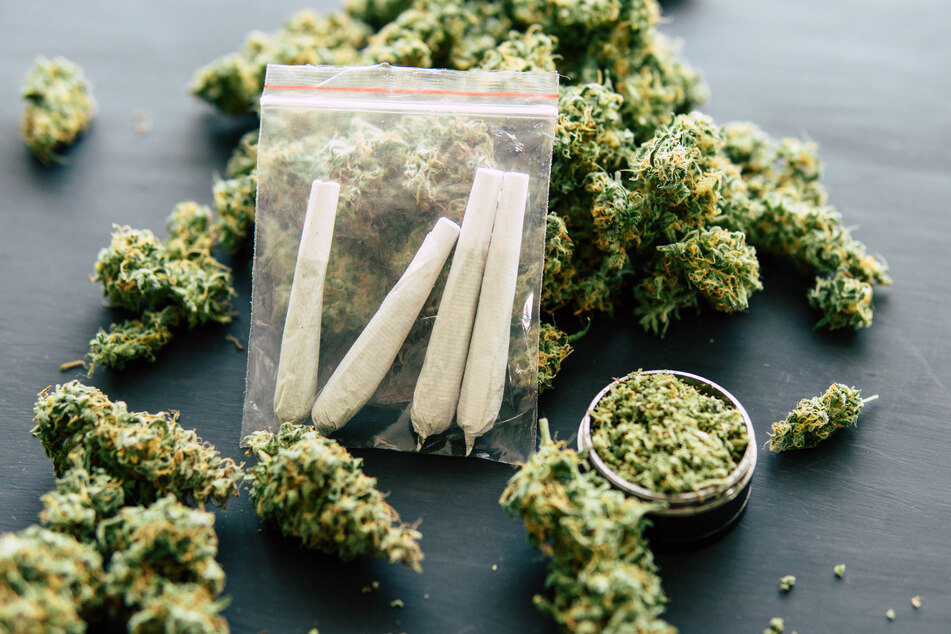 Police dog sniffs out incredible drug haul during traffic stop