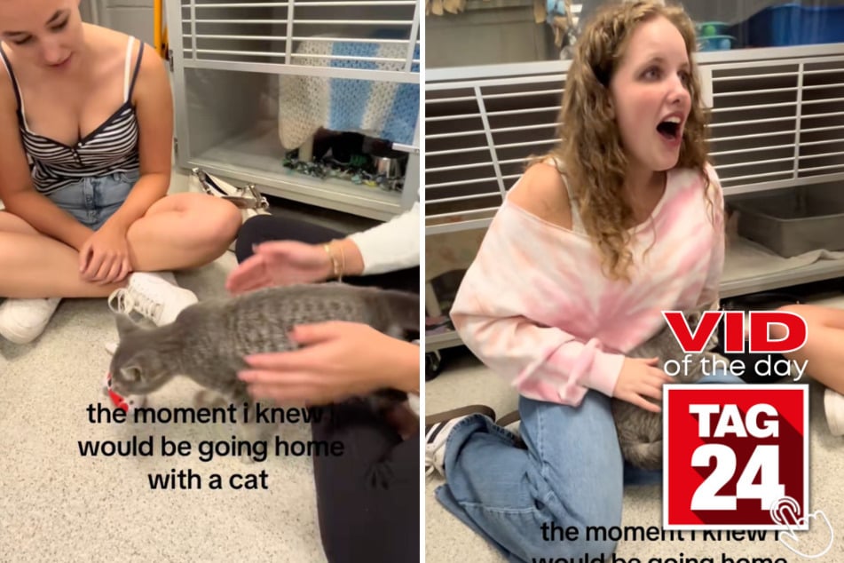 This girl went to a shelter just to look at cats, but after one climbed right into her lap, she knew he was going home with her.