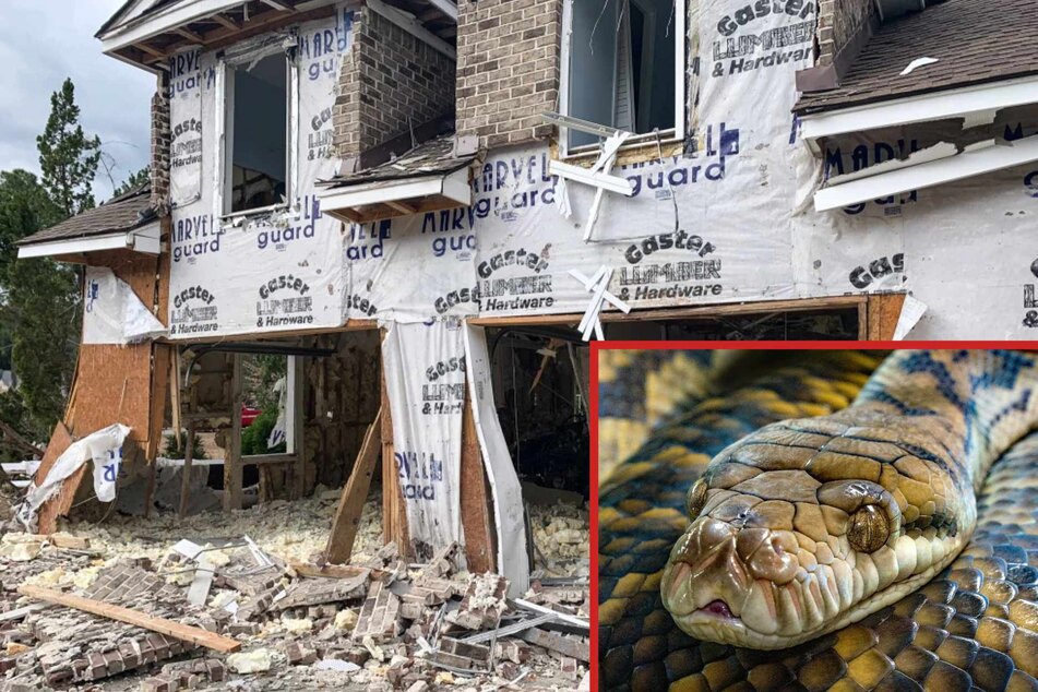 Georgia men indicted for house bombing, conspiracy to feed child to python