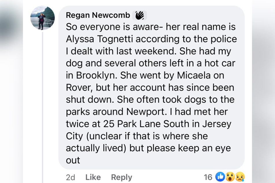 A Facebook user named Regan Newcomb revealed that the sitter was really called Alyssa Tognetti.