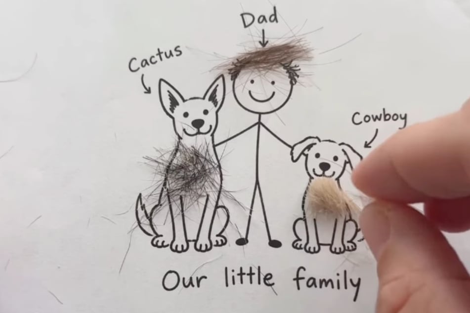 The tufts of hair were placed on their corresponding figures.