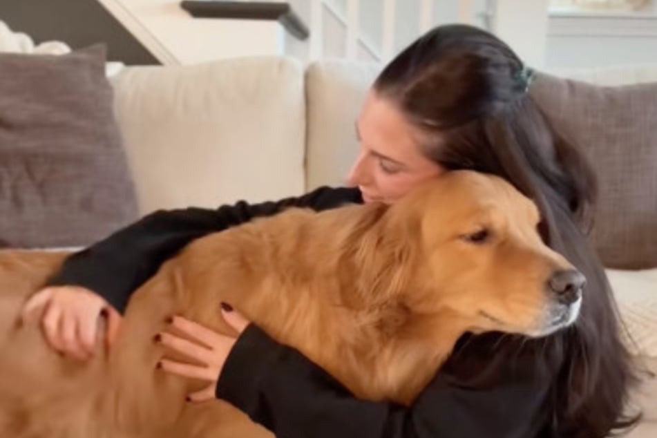Golden retriever's reaction to mom pretending to cry leaves internet in tears!