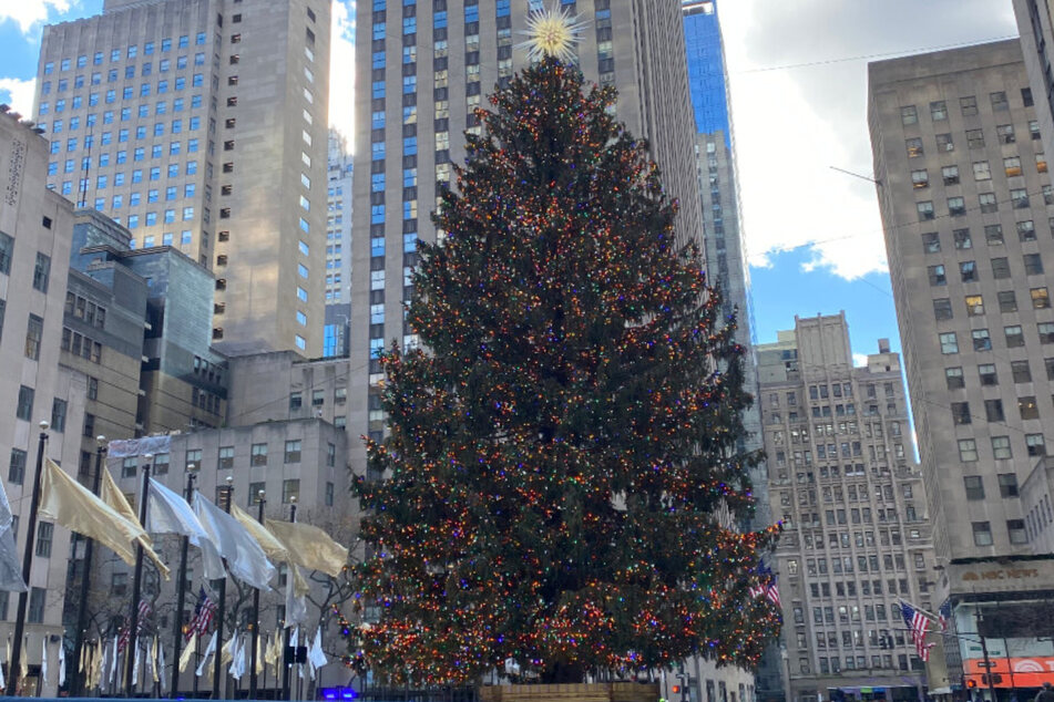 The famed Rockefeller Center Christmas tree in all its glory.