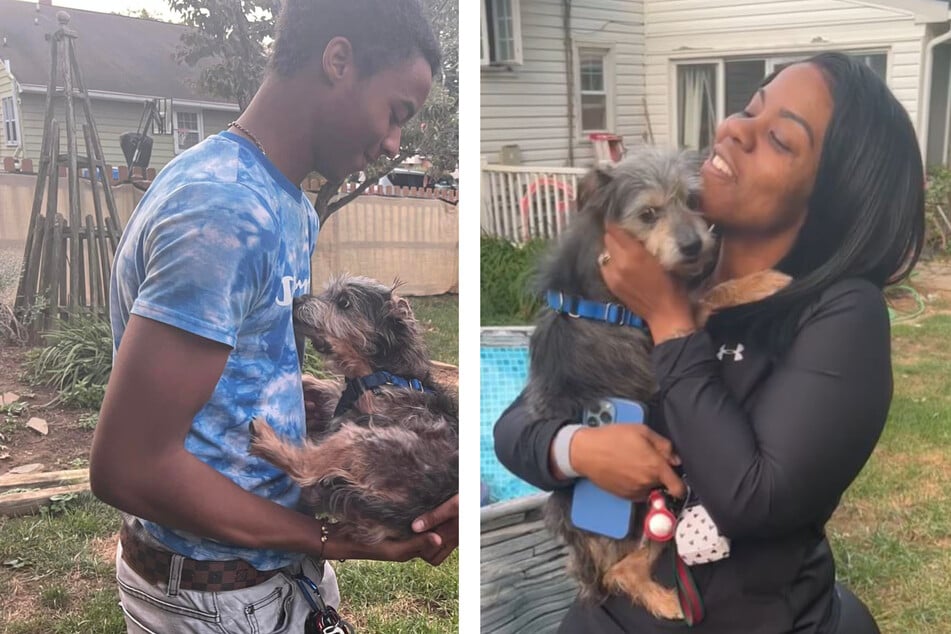 For the first few minutes the pooch named Paris just sniffed his owners and looked scared.