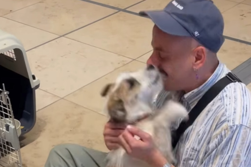 After several weeks of waiting, Milou and her owner finally reunited.