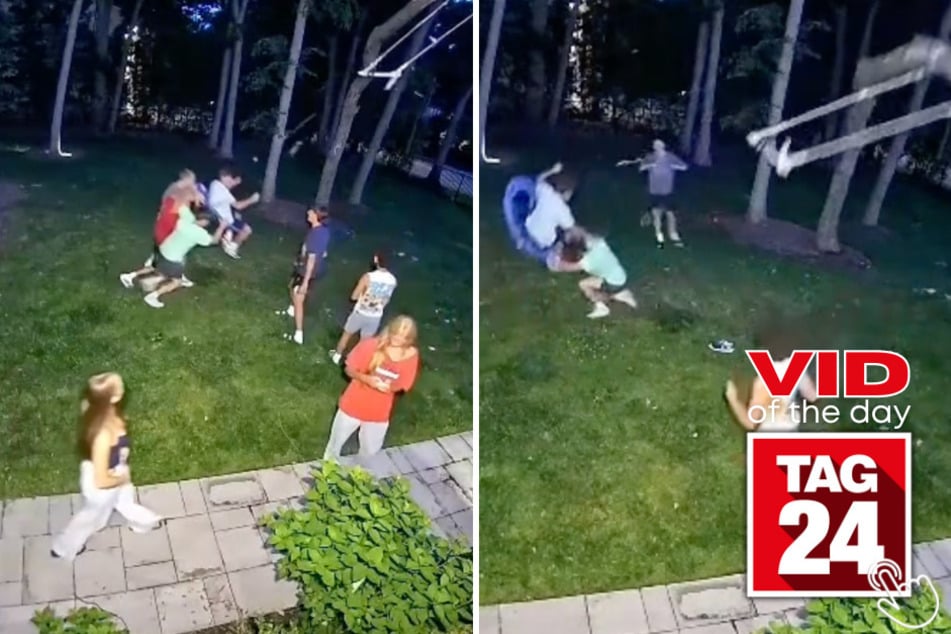 They wanted to break a swinging record - but broke the whole tree instead!