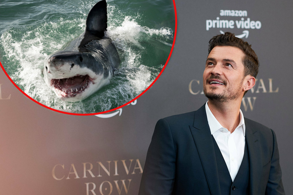 Orlando Bloom posts hair-raising video of close encounter with a great white!