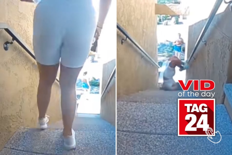 Viral Video of the Day for April 3, 2026: Doorbell camera catches woman's insane staircase wipeout