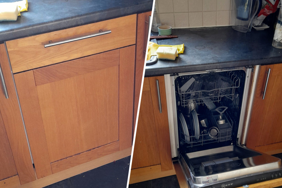 Wait a second – did Tom Hale just realize that he has been the owner of a dishwasher for the past two years?