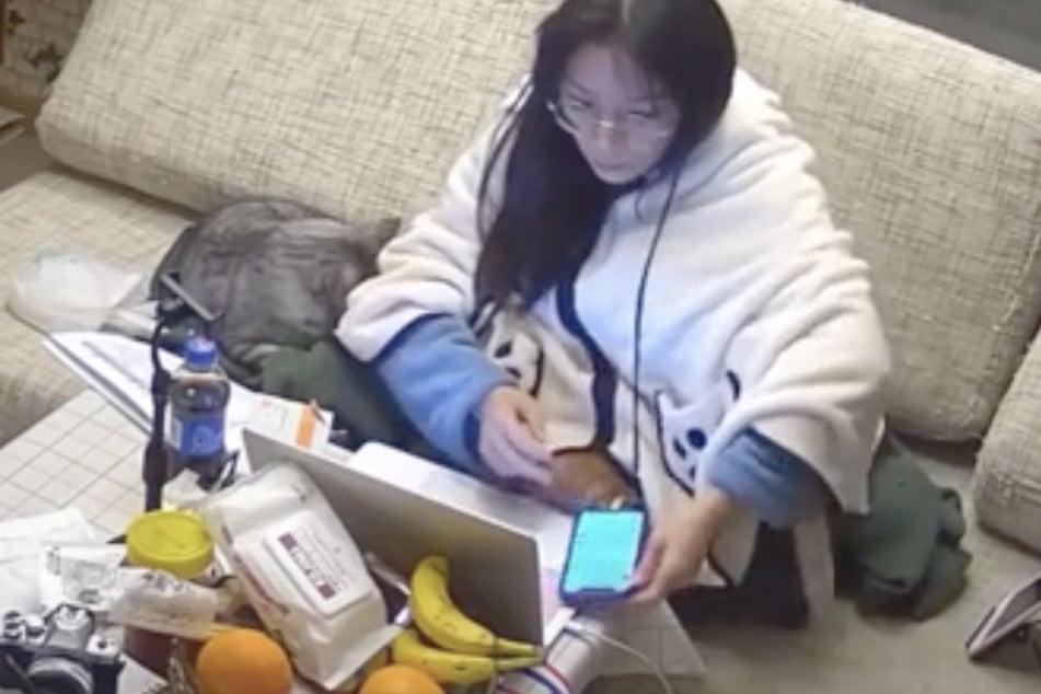 In the beginning of the video, only one cat is clearly visible, but attentive viewers might spot a second.