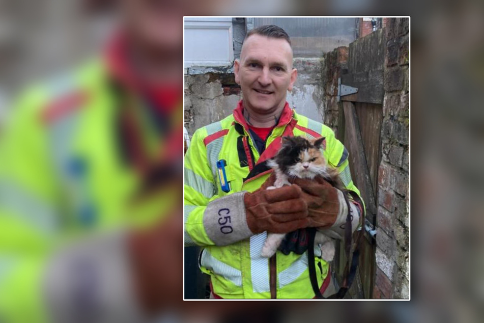 Cat's disgruntled reaction to heroic rescue gets the internet laughing