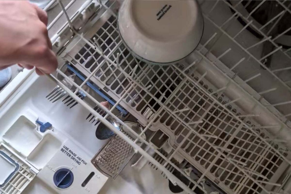 Cat owner can't close dishwasher – until he finds the hilarious problem!
