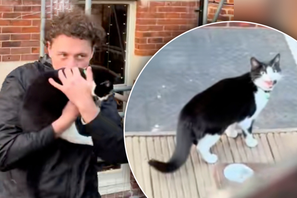 Cat comes looking for owners at the pub after they miss her dinnertime: "Can confirm she is a regular"