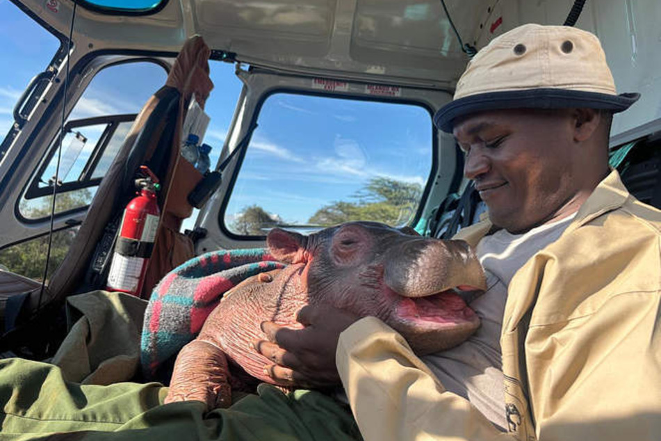 Now, the little hippo is truly happy again.
