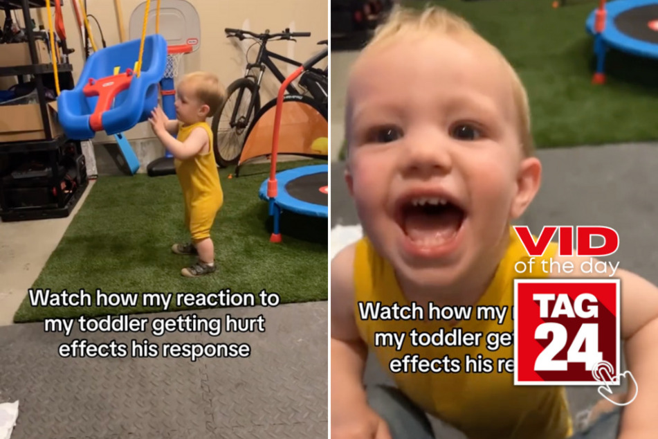 Viral Video of the Day for February 1, 2024: Kid has mixed reaction to getting whacked by swing!
