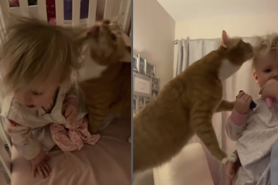 Baby Cora is woken up every day by her cat brother and his wet kisses.