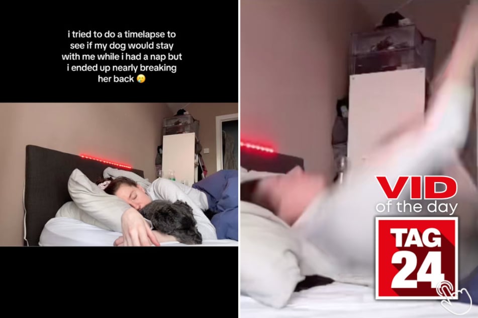 This woman set up a timelapse to see if her dog would stay by her side during a nap... and almost launched her into orbit instead!