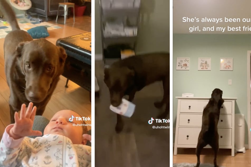 Lucy now supports new parents Josh and Kelly Rheaume in everyday life.