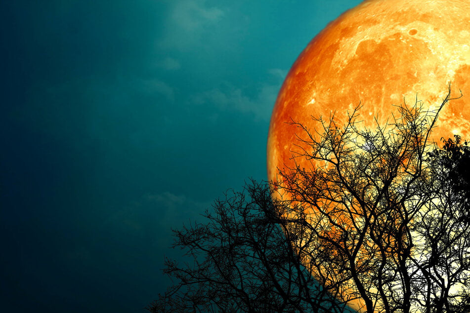 Your personal and free daily horoscope for Thursday, 1/27/2022.