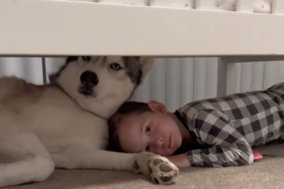 The dog and child are currently cuddling together under the bed.